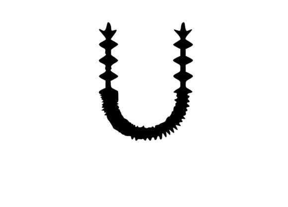 Crazy Spiky Cactus Themed Mono U: A Practical Review