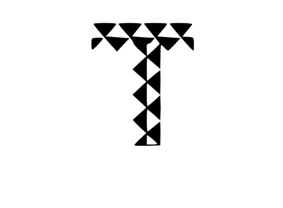 Playful Geometric Pattern Mono T